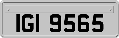 IGI9565