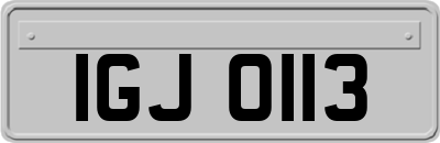 IGJ0113