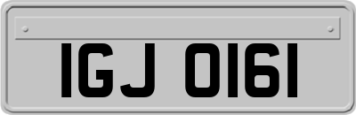 IGJ0161