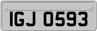 IGJ0593