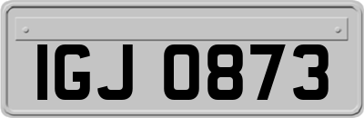 IGJ0873