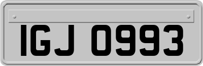 IGJ0993