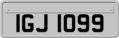 IGJ1099