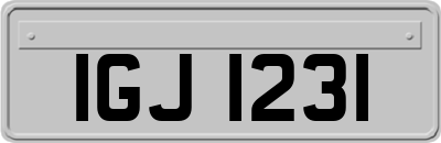 IGJ1231
