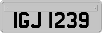 IGJ1239