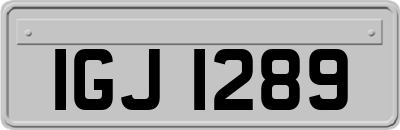 IGJ1289