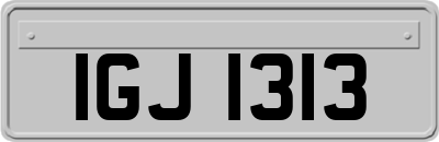 IGJ1313