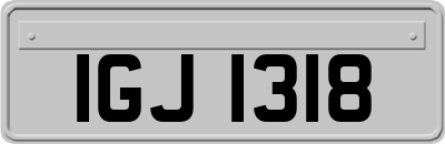 IGJ1318