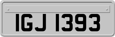 IGJ1393