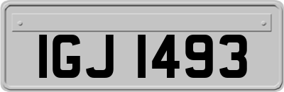 IGJ1493
