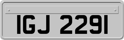 IGJ2291