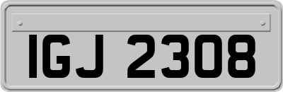 IGJ2308