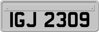 IGJ2309