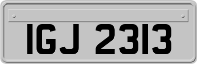 IGJ2313