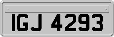 IGJ4293