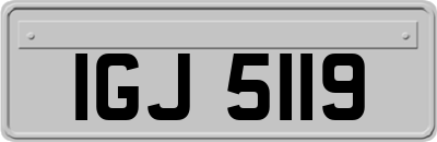 IGJ5119