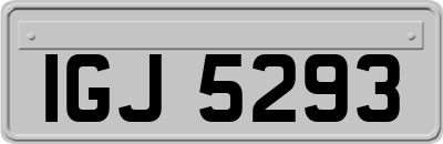 IGJ5293