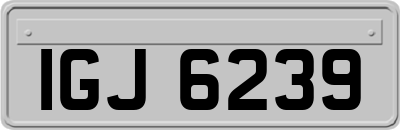IGJ6239