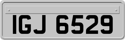 IGJ6529