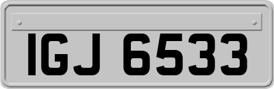 IGJ6533
