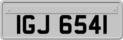 IGJ6541