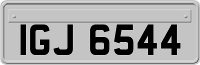 IGJ6544
