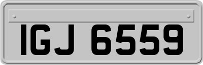 IGJ6559