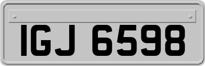 IGJ6598