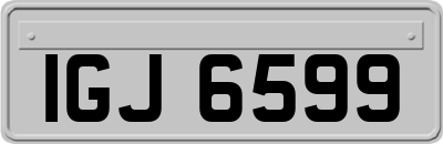 IGJ6599