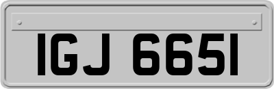 IGJ6651