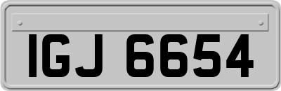 IGJ6654