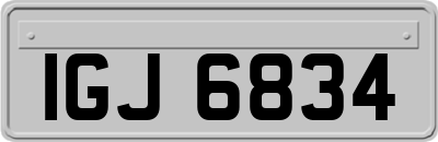 IGJ6834