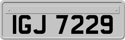 IGJ7229