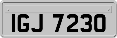 IGJ7230