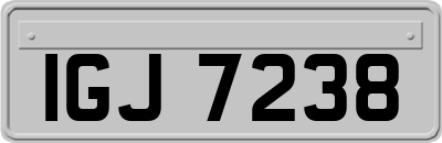 IGJ7238