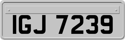 IGJ7239