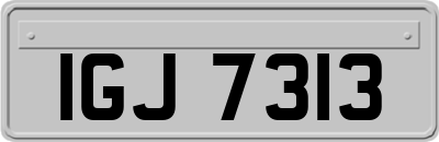 IGJ7313