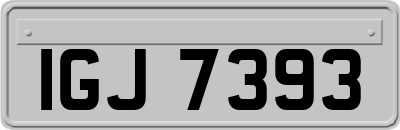 IGJ7393