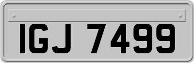 IGJ7499