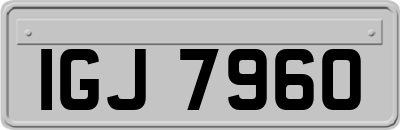 IGJ7960