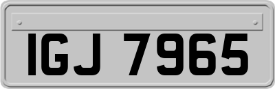 IGJ7965