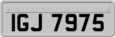 IGJ7975