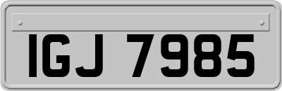 IGJ7985