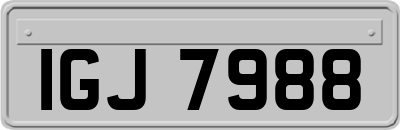IGJ7988