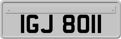 IGJ8011