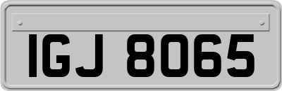 IGJ8065