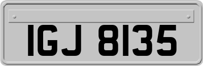 IGJ8135