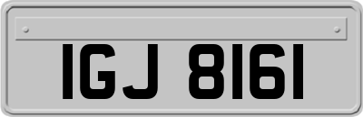 IGJ8161