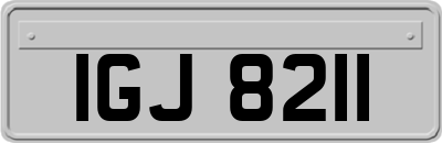 IGJ8211
