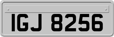 IGJ8256